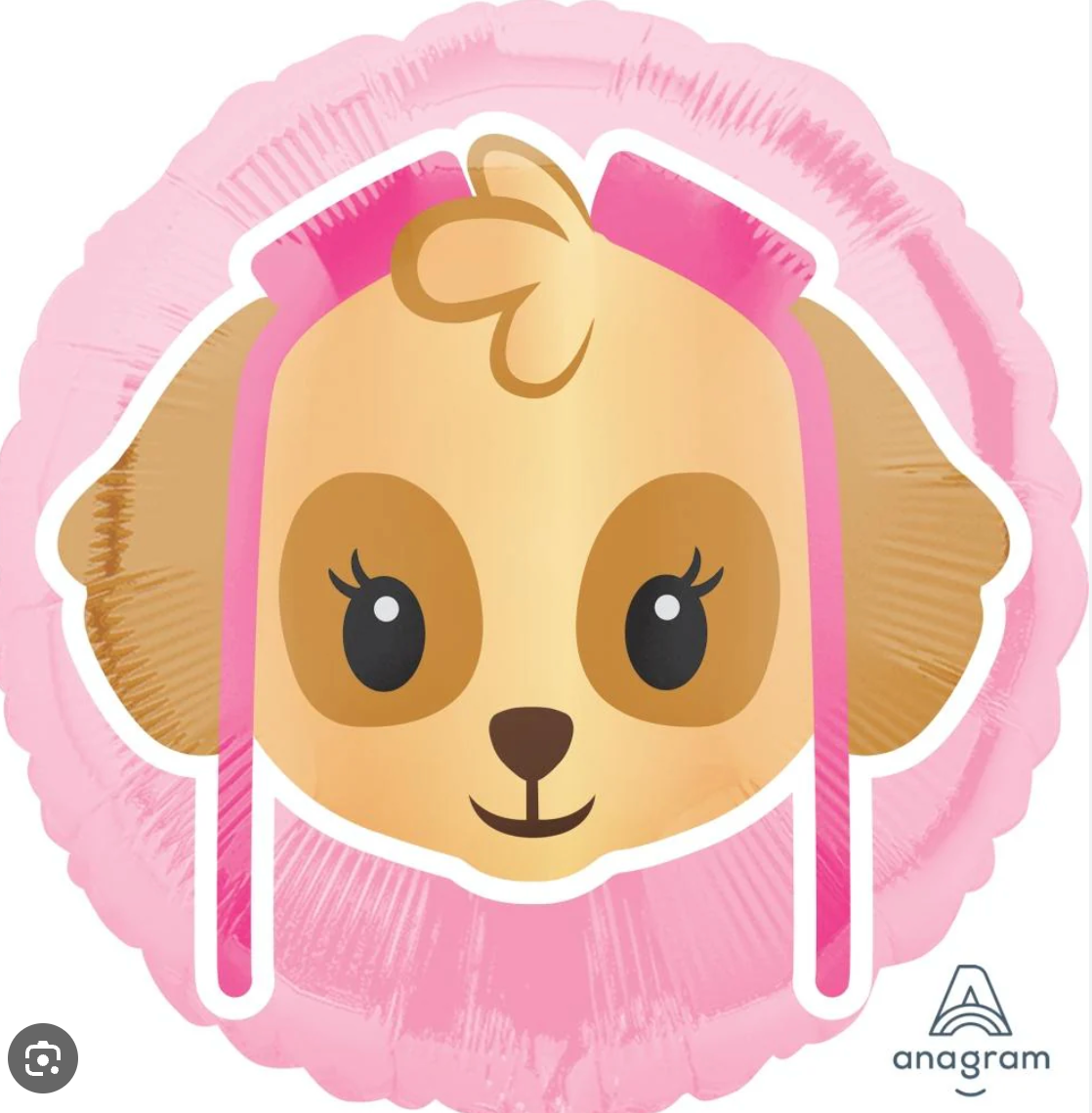 Anagram Sky Paw Patrol Foil Balloon